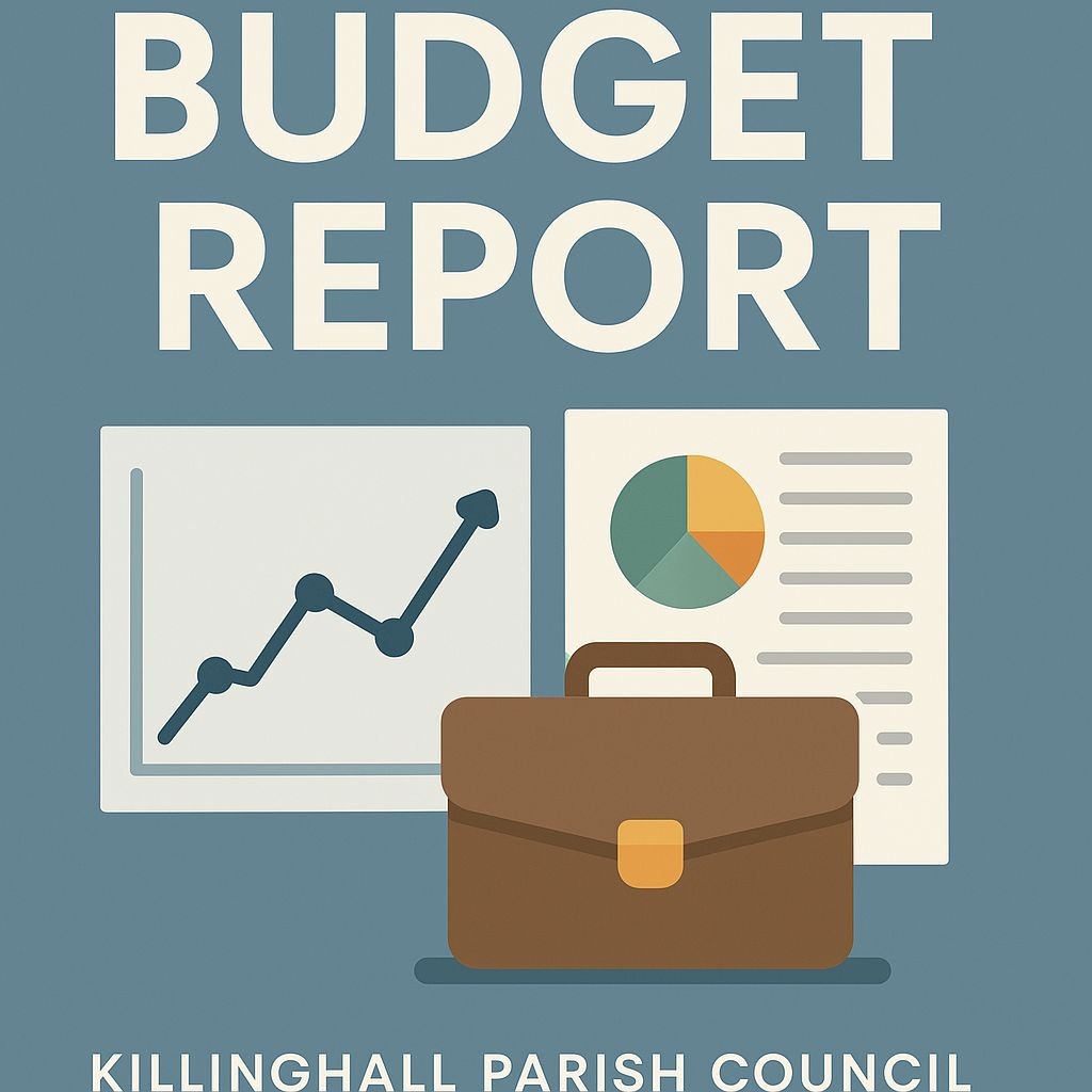Budget Report Image